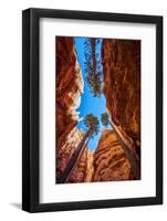 Wall Street, Bryce Canyon National Park, Utah-Michael DeFreitas-Framed Photographic Print