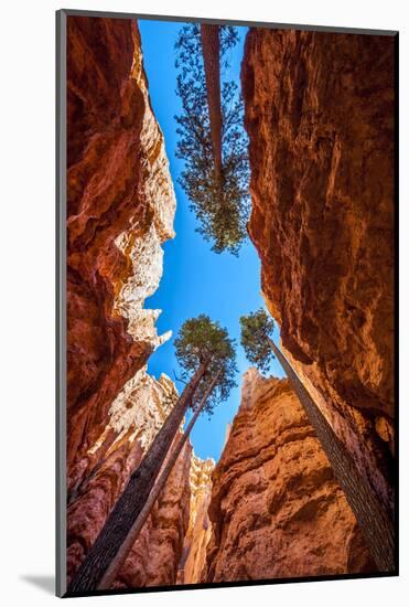 Wall Street, Bryce Canyon National Park, Utah-Michael DeFreitas-Mounted Photographic Print