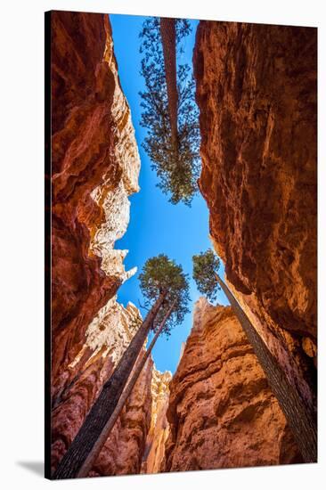 Wall Street, Bryce Canyon National Park, Utah-Michael DeFreitas-Stretched Canvas