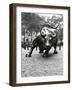 Wall Street Bull Sculpture-Chris Bliss-Framed Premium Photographic Print