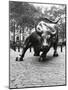 Wall Street Bull Sculpture-Chris Bliss-Mounted Premium Photographic Print