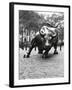 Wall Street Bull Sculpture-Chris Bliss-Framed Premium Photographic Print