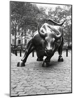 Wall Street Bull Sculpture-Chris Bliss-Mounted Photographic Print