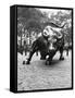 Wall Street Bull Sculpture-Chris Bliss-Framed Stretched Canvas