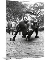 Wall Street Bull Sculpture-Chris Bliss-Mounted Photographic Print