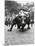 Wall Street Bull Sculpture-Chris Bliss-Mounted Photographic Print