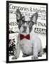 Wall street dog-Anne Storno-Framed Premium Giclee Print
