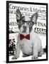 Wall street dog-Anne Storno-Framed Giclee Print