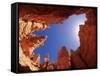 Wall Street Trail at Bryce Canyon, Utah, USA-Daisy Gilardini-Framed Stretched Canvas