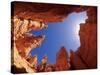 Wall Street Trail at Bryce Canyon, Utah, USA-Daisy Gilardini-Stretched Canvas