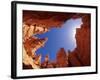 Wall Street Trail at Bryce Canyon, Utah, USA-Daisy Gilardini-Framed Photographic Print