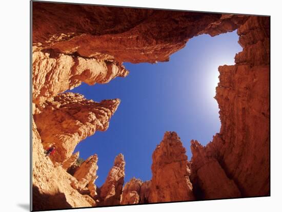 Wall Street Trail at Bryce Canyon, Utah, USA-Daisy Gilardini-Mounted Photographic Print