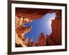 Wall Street Trail at Bryce Canyon, Utah, USA-Daisy Gilardini-Framed Photographic Print