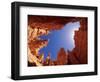 Wall Street Trail at Bryce Canyon, Utah, USA-Daisy Gilardini-Framed Photographic Print