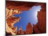 Wall Street Trail at Bryce Canyon, Utah, USA-Daisy Gilardini-Mounted Photographic Print