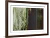 Wall to Wall III-Derek Rangecroft-Framed Limited Edition