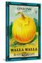 Walla Walla - Onion Seed Packet-Lantern Press-Stretched Canvas