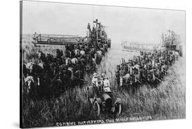 Walla Walla, Washington - Combine Harvester Scene-Lantern Press-Stretched Canvas