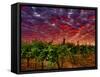 Walla Walla Wine Country, Walla Walla, Washington, USA-Richard Duval-Framed Stretched Canvas