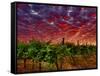 Walla Walla Wine Country, Walla Walla, Washington, USA-Richard Duval-Framed Stretched Canvas