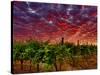 Walla Walla Wine Country, Walla Walla, Washington, USA-Richard Duval-Stretched Canvas