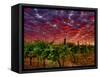 Walla Walla Wine Country, Walla Walla, Washington, USA-Richard Duval-Framed Stretched Canvas