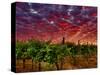 Walla Walla Wine Country, Walla Walla, Washington, USA-Richard Duval-Stretched Canvas