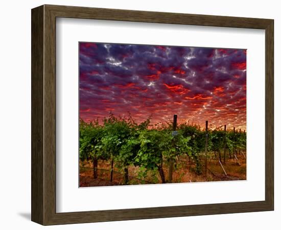 Walla Walla Wine Country, Walla Walla, Washington, USA-Richard Duval-Framed Photographic Print