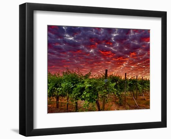 Walla Walla Wine Country, Walla Walla, Washington, USA-Richard Duval-Framed Photographic Print