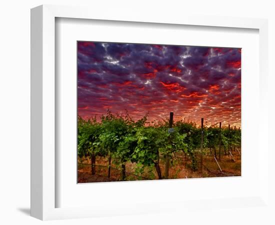 Walla Walla Wine Country, Walla Walla, Washington, USA-Richard Duval-Framed Photographic Print