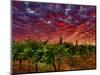 Walla Walla Wine Country, Walla Walla, Washington, USA-Richard Duval-Mounted Photographic Print