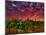 Walla Walla Wine Country, Walla Walla, Washington, USA-Richard Duval-Mounted Photographic Print