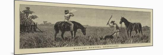 Wallaby Hunting, Queensland-null-Mounted Premium Giclee Print