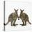 Wallaby X2 Holding Hands-Andy and Clare Teare-Stretched Canvas