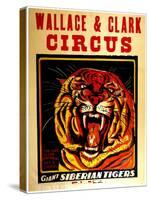 Wallace & Clark Cirbus - Giant Siberian Tigers Poster, Circa 1945-null-Stretched Canvas