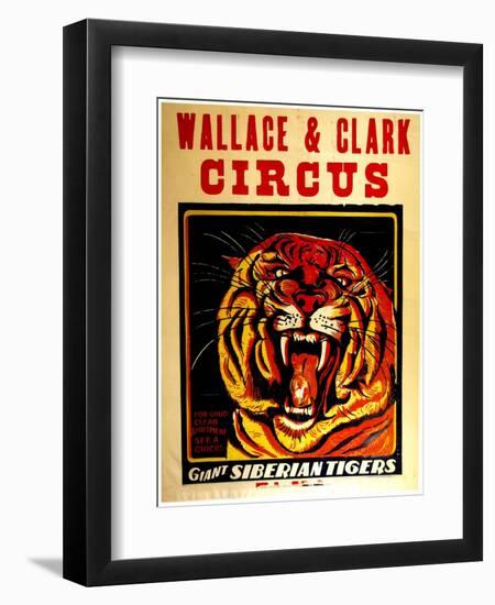 Wallace & Clark Cirbus - Giant Siberian Tigers Poster, Circa 1945-null-Framed Premium Giclee Print