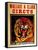 Wallace & Clark Cirbus - Giant Siberian Tigers Poster, Circa 1945-null-Framed Stretched Canvas