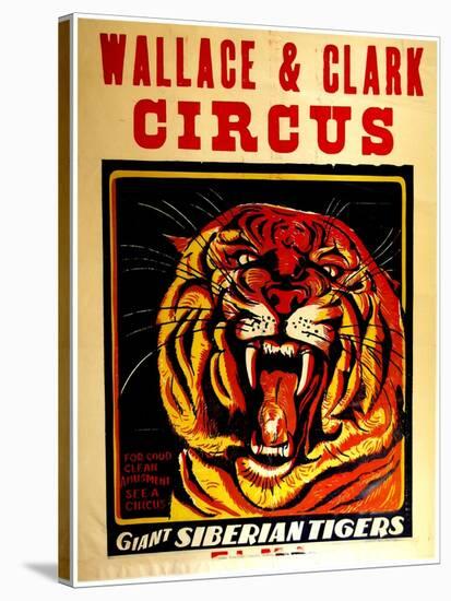 Wallace & Clark Cirbus - Giant Siberian Tigers Poster, Circa 1945-null-Stretched Canvas