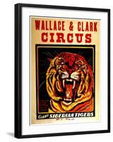 Wallace & Clark Cirbus - Giant Siberian Tigers Poster, Circa 1945-null-Framed Giclee Print