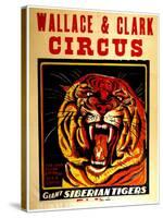 Wallace & Clark Cirbus - Giant Siberian Tigers Poster, Circa 1945-null-Stretched Canvas