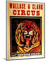 Wallace & Clark Cirbus - Giant Siberian Tigers Poster, Circa 1945-null-Mounted Giclee Print