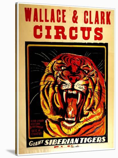 Wallace & Clark Cirbus - Giant Siberian Tigers Poster, Circa 1945-null-Stretched Canvas