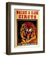 Wallace & Clark Cirbus - Giant Siberian Tigers Poster, Circa 1945-null-Framed Giclee Print