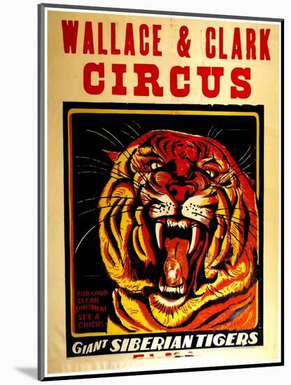 Wallace & Clark Cirbus - Giant Siberian Tigers Poster, Circa 1945-null-Mounted Giclee Print