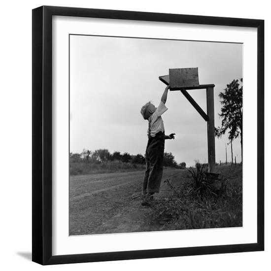 Premium Photographic Print, , large