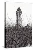 Wallace Monument, 2007-Vincent Alexander Booth-Stretched Canvas