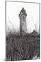 Wallace Monument, 2007-Vincent Alexander Booth-Mounted Giclee Print