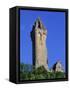 Wallace Monument, Stirling, Central, Scotland, United Kingdom, Europe-Thouvenin Guy-Framed Stretched Canvas