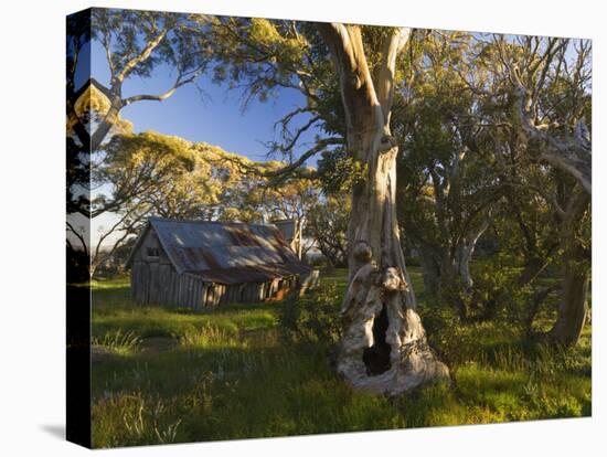 Wallace's Hut, Bogong High Plains, Apline National Park, Victoria, Australia, Pacific-Schlenker Jochen-Stretched Canvas