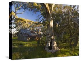 Wallace's Hut, Bogong High Plains, Apline National Park, Victoria, Australia, Pacific-Schlenker Jochen-Stretched Canvas